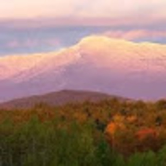 Meet your Posher, Madeline bay - Picture 1 of 1